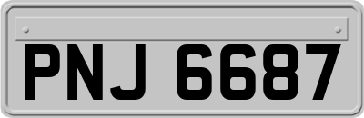 PNJ6687