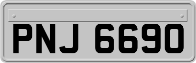 PNJ6690