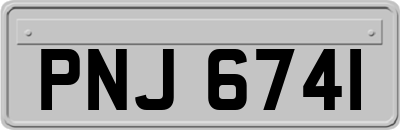 PNJ6741