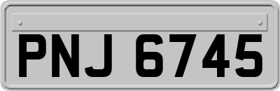 PNJ6745
