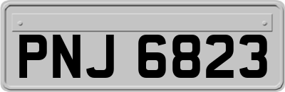 PNJ6823