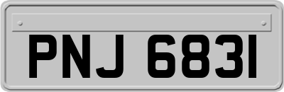 PNJ6831