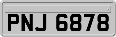 PNJ6878