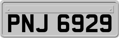 PNJ6929