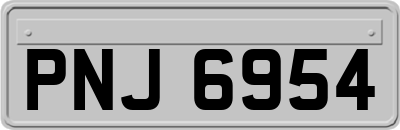 PNJ6954