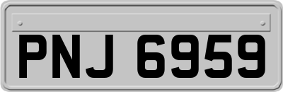 PNJ6959