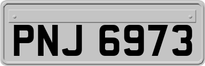 PNJ6973
