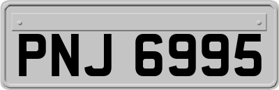 PNJ6995