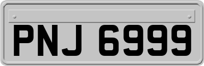 PNJ6999