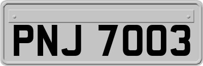 PNJ7003