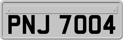 PNJ7004