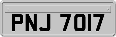 PNJ7017
