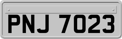 PNJ7023