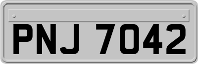 PNJ7042