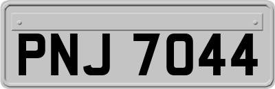 PNJ7044