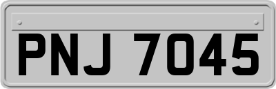 PNJ7045
