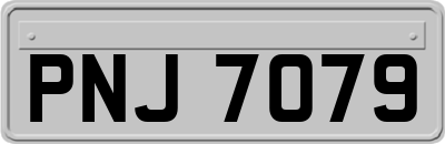 PNJ7079