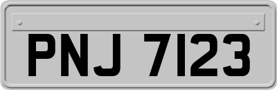 PNJ7123
