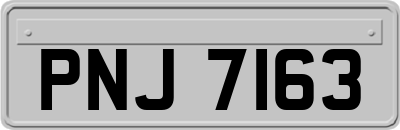 PNJ7163