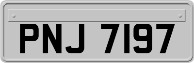 PNJ7197