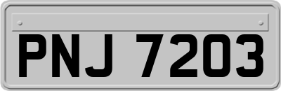 PNJ7203