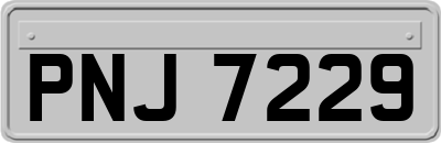 PNJ7229