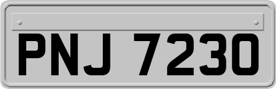 PNJ7230