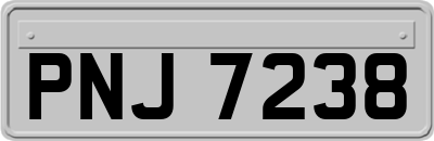 PNJ7238