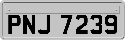 PNJ7239