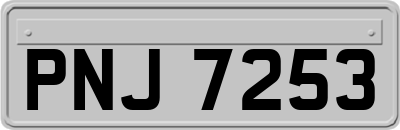 PNJ7253