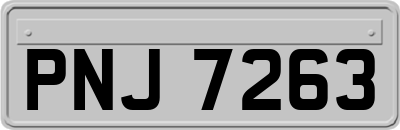 PNJ7263