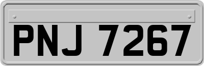 PNJ7267
