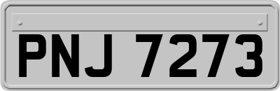PNJ7273