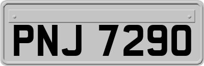 PNJ7290