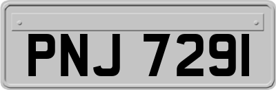 PNJ7291