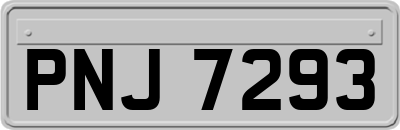 PNJ7293