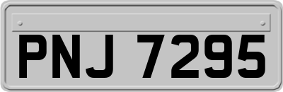 PNJ7295