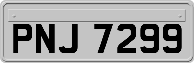 PNJ7299