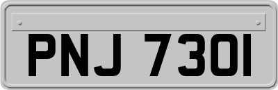 PNJ7301