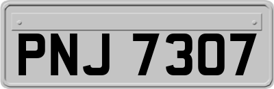 PNJ7307