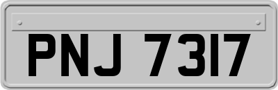 PNJ7317
