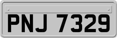PNJ7329