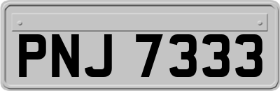 PNJ7333