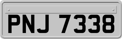 PNJ7338