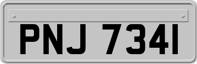 PNJ7341