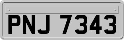PNJ7343