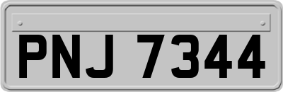 PNJ7344