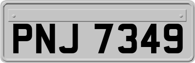 PNJ7349