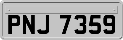 PNJ7359