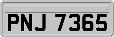 PNJ7365